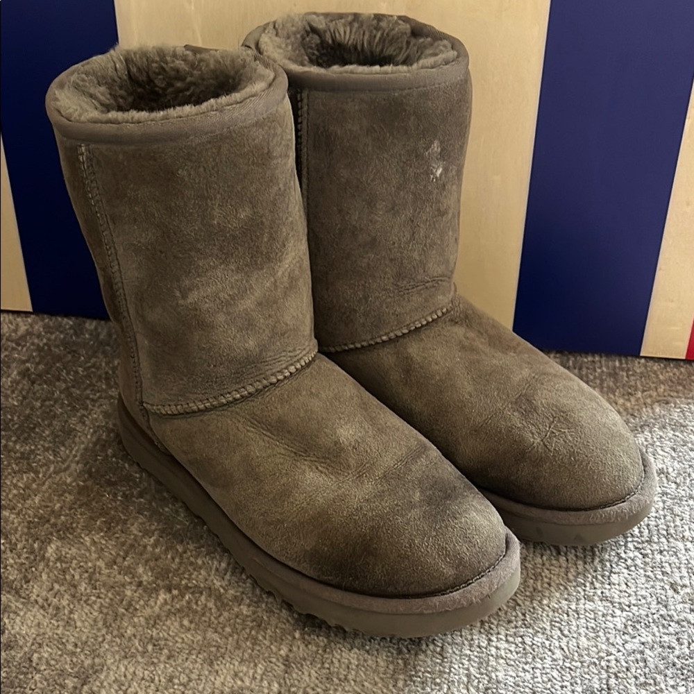 UGG Women's Gray Boots